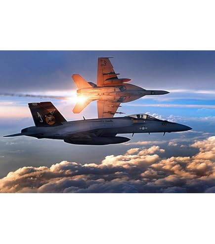 Amazon.co.jp: F-14 トムキャット 戦闘機 航空 ジェット 飛行機 航空機